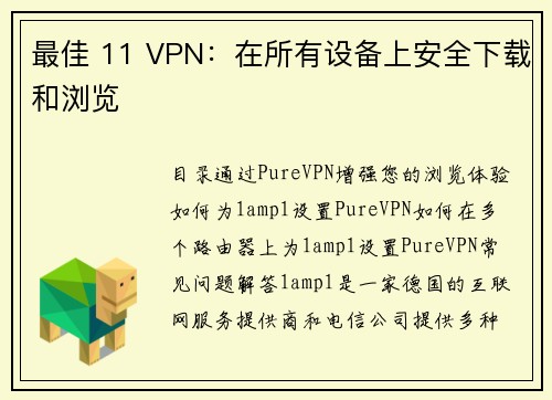最佳 11 VPN：在所有设备上安全下载和浏览